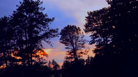 Sunset Time Lapse - Free 動画素材 40274645