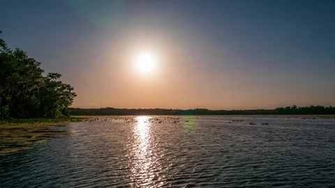 Sunset Time Lapse of a Lake at Ocala National Forest Stock Footage 90438155
