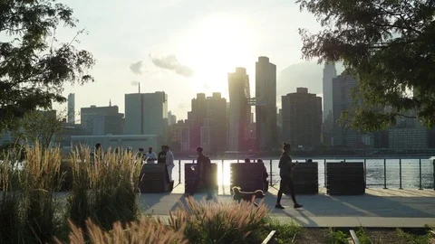 Sunset Time-lapse by the New York City skyline with Grass and Trees Stock Footage 80164147