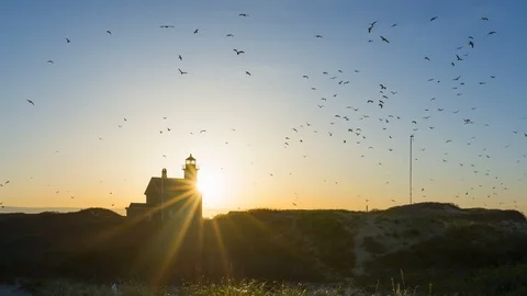 Sunset time lapse at North Lighthouse with hundreds of seagulls flying around Stock-Footage 110718199
