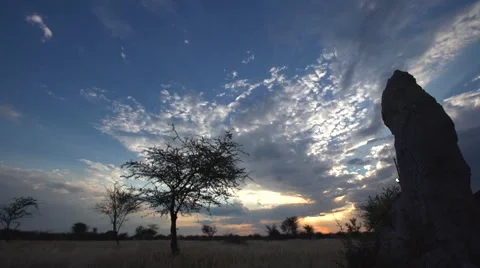Sunset time lapse over african savannah Stock Footage 62765066