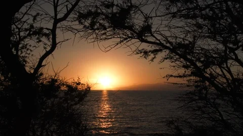 Sunset Time Lapse Over Ocean Through A Window Of Trees Stock Footage 107208287