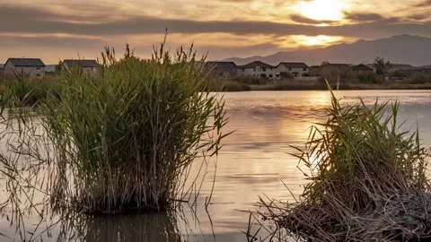 Sunset time lapse of a pond in an urban setting with a stunningly colorful Vidéo 140477823