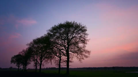 Sunset time lapse, silhouette of oak trees - 4K 30fps timelapse Stock Footage 37659071