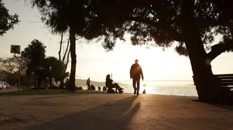 Sunset time lapse  silhouettes Stock-Footage 34338168