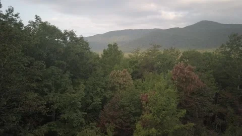 Sunset Time Lapse Trees and Mountains Scenic View Georgia Stock Footage 252616474