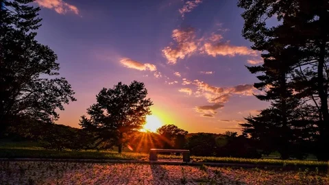 Sunset time lapse at valley forge park Stock Footage