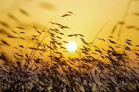 Sunset time at the sea Stock Photos