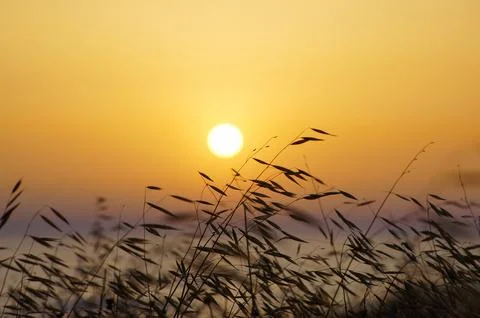 Sunset time at the sea Stock Photos