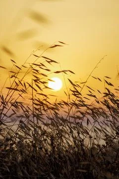 Sunset time at the sea Foto stock