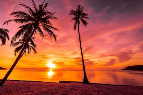 At sunset time on the tropical beach and sea with coconut palm tree Stock Photos