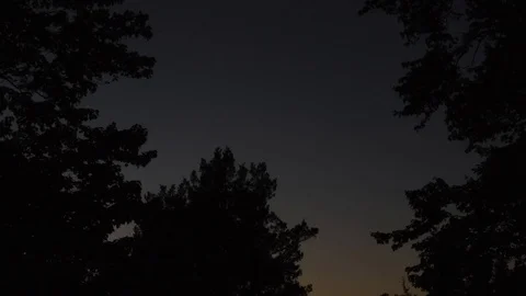 Sunset timelapes over trees Video stock 75652914