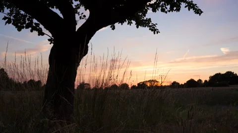 Sunset Timelaps Stock Footage 68984091