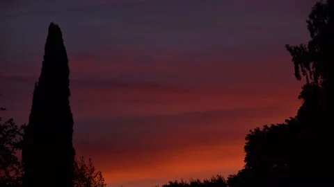 Sunset timelapse 4k cloudy sky with trees Video stock 81820555