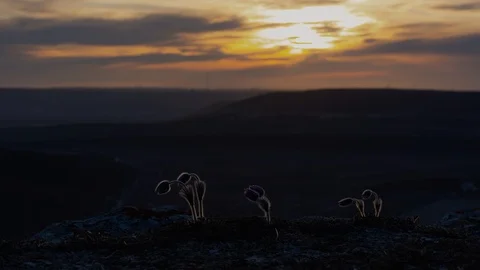 Sunset timelapse with 4K colors Stock Footage 126933073