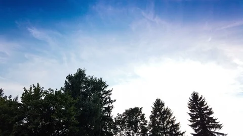 Sunset timelapse above the forest Stock Footage 114771151