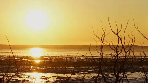 Sunset Timelapse Anchorage Alaska with Ice Flows 動画素材 86178667