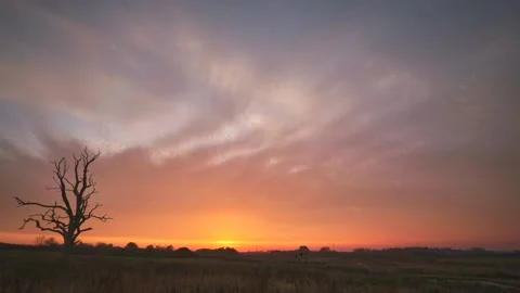 Sunset Timelapse with Bare Tree Alverton, Nottingham Video stock 147131107