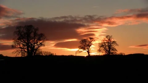 Sunset timelapse behind trees silhouette Stock Footage 154043370