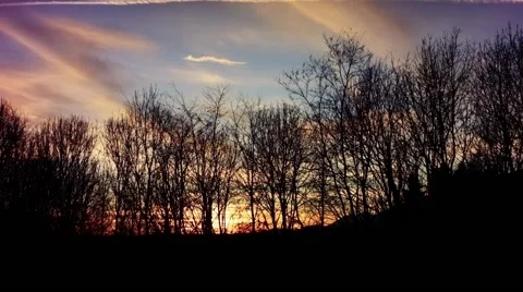 Sunset timelapse behind winter trees Stock Footage 46017117