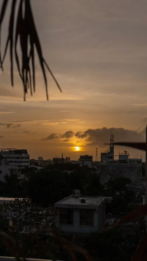 Sunset timelapse between palm trees on a terrace in Playa del Carmen Video stock 156135126