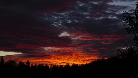 Sunset timelapse. Dramatic sky with moving clouds behind silhouette of trees, Stock Footage 93555161