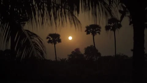 Sunset timelapse in a farm Video stock 186454478