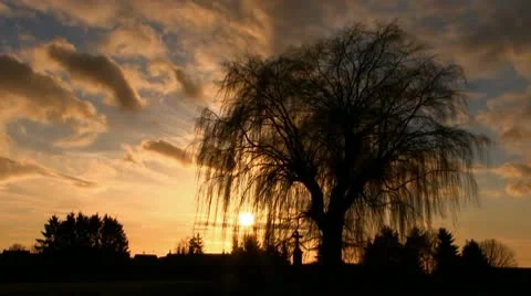 Sunset timelapse Stock Footage 10559377