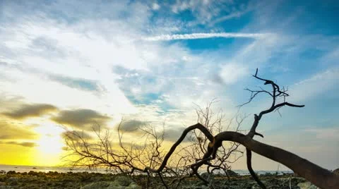 Sunset timelapse Stock Footage 22360569