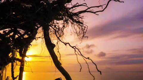 Sunset timelapse Stock Footage 23113883