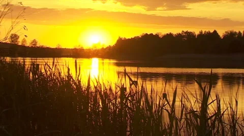 Sunset Timelapse Stock Footage 55340130