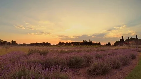 Sunset Timelapse Vídeo Stock 85073759