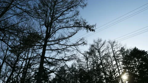 Sunset timelapse Stock Footage 128465362