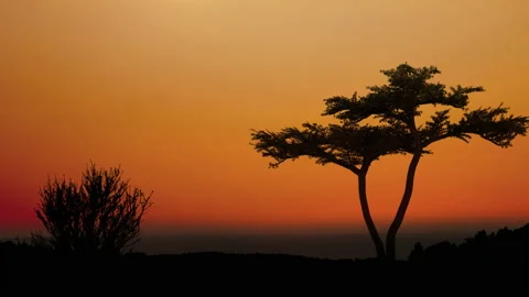 Sunset Timelapse Stock Footage 138135012