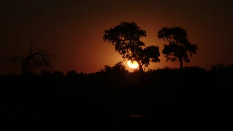 Sunset timelapse Stock Footage 187526584