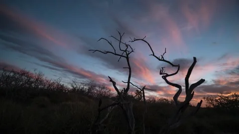 Sunset Timelapse Stock Footage 211804444