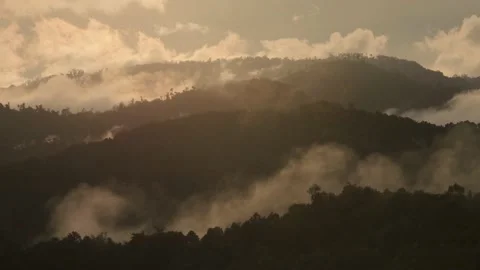 Sunset timelapse of forest with clouds Video stock 169001866