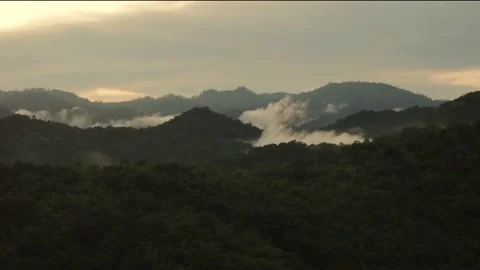 Sunset timelapse of forest with mist and fog Video stock 169002050