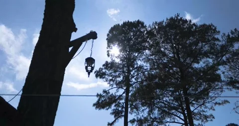 Sunset Timelapse at the forest. Nature timelapse 스톡 동영상 132463662