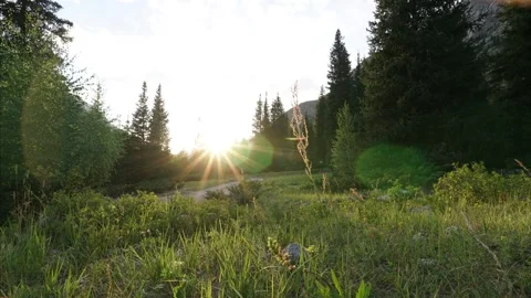 Sunset timelapse in a green gorge with grass 動画素材 248117500