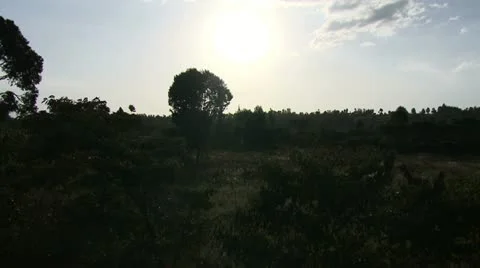 Sunset - Timelapse - Kenya Stock-Footage 22243380
