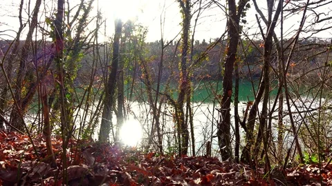 Sunset timelapse at the Lake in the forest Stock Footage 82906909