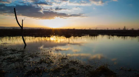 Sunset Timelapse Marsh 스톡 동영상 23245897