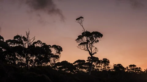 Sunset timelapse in Outback Australia Vídeo Stock 122299882