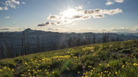 Sunset timelapse over Bob Marshall Wilderness Mountains Stock Footage 167243999