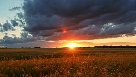 Sunset timelapse over the farmer's pasture Video stock 173338024