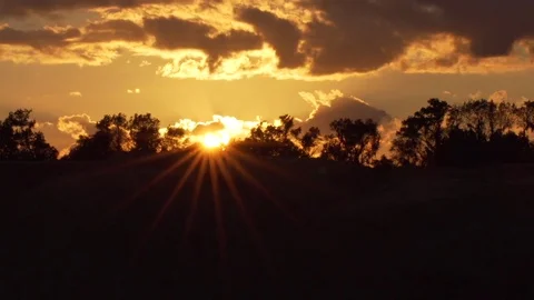 Sunset Timelapse over Florida Tree  Tops Stock Footage