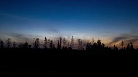 Sunset timelapse over Harz mountain forest trees Germany Stock Footage 135539760