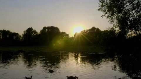 Sunset timelapse over a still lake Stock Footage 133496814