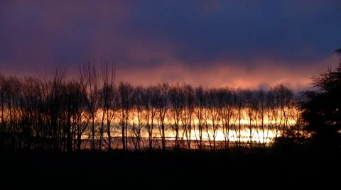 Sunset timelapse over trees Video stock 7768037
